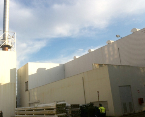 Unicer Cogeneration Plant . Energetus