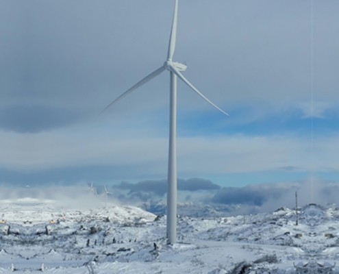 Guardão Wind Park. Energetus